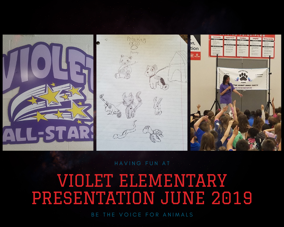Violet Elementary Presentation June 2019