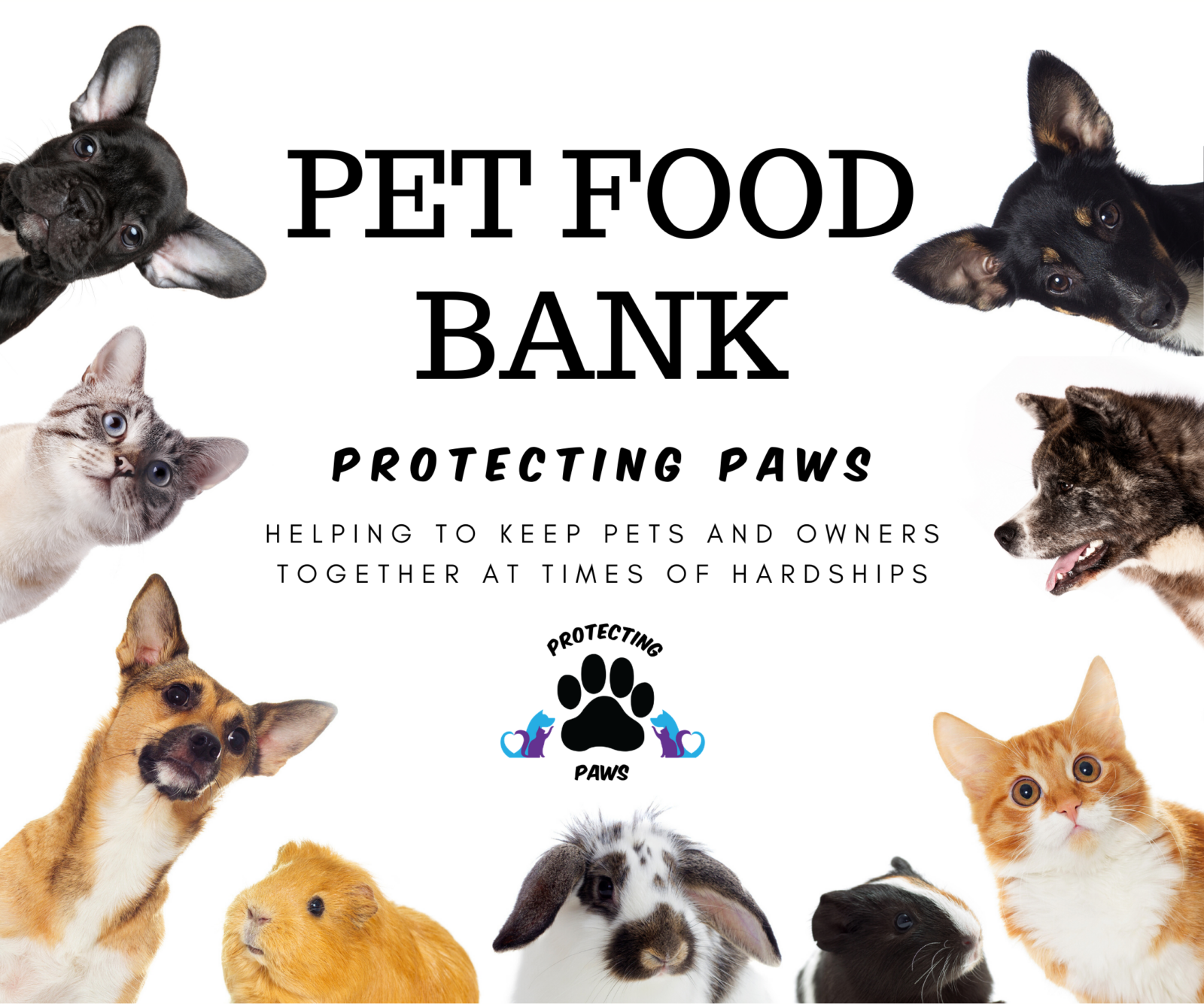 Programs Protecting Paws