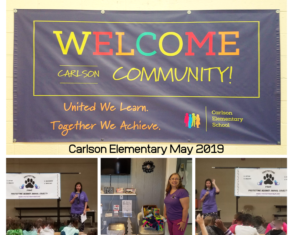 Carlson Elementary May 2019