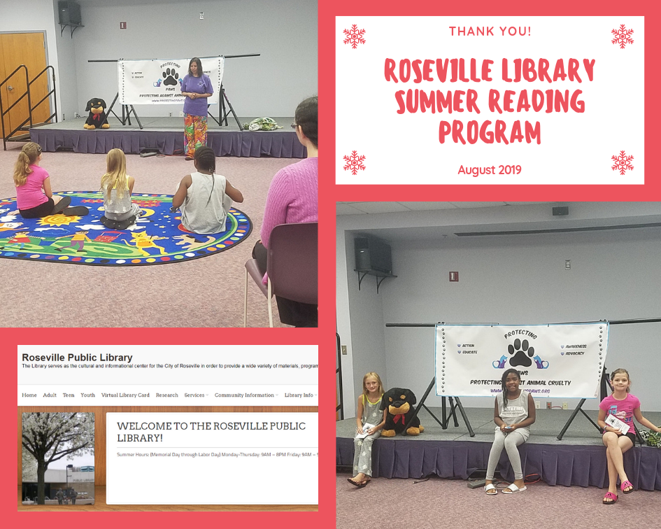 Roseville Library Summer Reading Program Aug. 2019